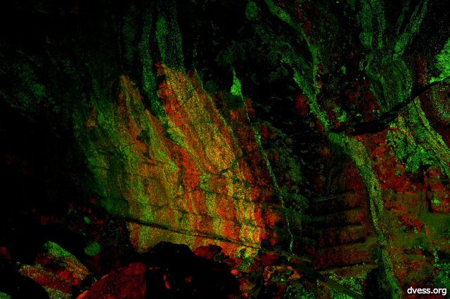 SterlingHill-fluorescent-night3.jpg