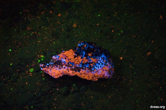 sterlinghill08-fluorescent_goodman.jpg