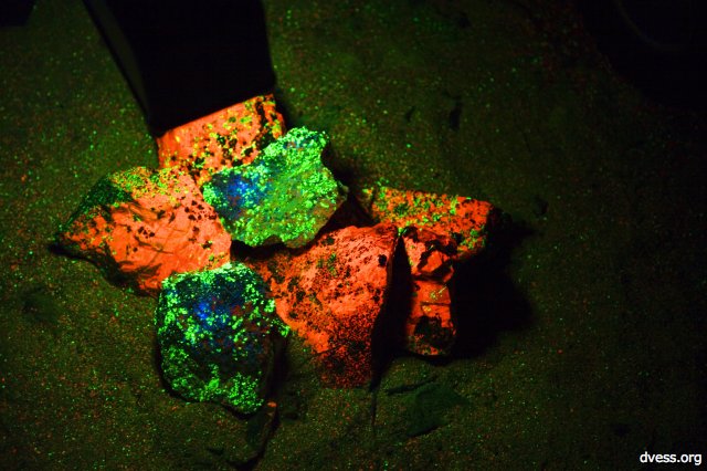 sterlinghill08-fluorescent_white.jpg